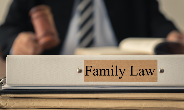 Close Up Lawsuit Folder Of Family Law With The Judge